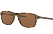 WHEELHOUSE - POLISHED BROWN TORTOISE | PRIZM TUNGSTEN - POLARIZED