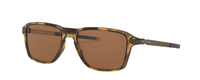 POLISHED BROWN TORTOISE | PRIZM TUNGSTEN - POLARIZED