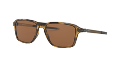 POLISHED BROWN TORTOISE | PRIZM TUNGSTEN - POLARIZED