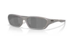 TITANIUM | PRIZM BLACK | POLARIZED
