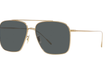 DRESNER - GOLD | MIDNIGHT EXPRESS - POLARIZED