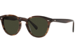 DESMOND LARGE - TUSCANY TORTOISE | GREEN - POLARIZED