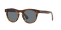 SYCAMORE | INDIGO PHOTOCHROMATIC