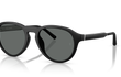 R-8 - R-8 | 700181 | POLARIZED
