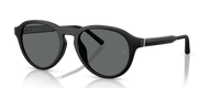 R-8 | 700181 | POLARIZED