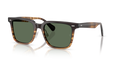 MR. FEDERER II | 13929A | POLARIZED