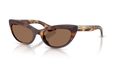 DARK MAHOGANY | BROWN | NON-POLARIZED