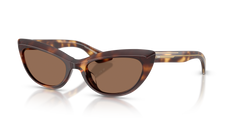 DARK MAHOGANY | BROWN | NON-POLARIZED