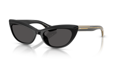 BLACK | GREY | NON-POLARIZED