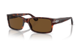 HAVANA | BROWN | POLARIZED