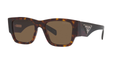 TORTOISE | DARK BROWN