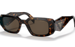 17WS - TORTOISE | BROWN | NON-POLARIZED