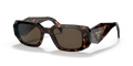 TORTOISE | BROWN | NON-POLARIZED