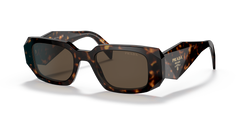 TORTOISE | BROWN | NON-POLARIZED