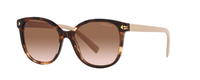 CARMEL TORTOISE | GRADIENT BROWN