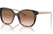 22ZS - CARMEL TORTOISE | GRADIENT BROWN | NON-POLARIZED