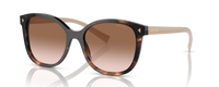CARMEL TORTOISE | GRADIENT BROWN | NON-POLARIZED