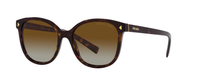 TORTOISE | GRADIENT BROWN - POLARIZED