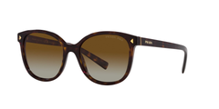 TORTOISE | GRADIENT BROWN - POLARIZED