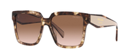 CARMEL TORTOISE | GRADIENT BROWN