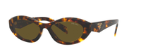 SAGE HONEY TORTOISE | DARK BROWN