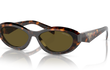 26ZS - SAGE HONEY TORTOISE | DARK BROWN | NON-POLARIZED