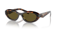 SAGE HONEY TORTOISE | DARK BROWN | NON-POLARIZED