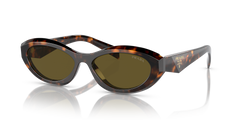 SAGE HONEY TORTOISE | DARK BROWN | NON-POLARIZED