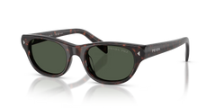 HAVANA | DARK GREY | POLARIZED