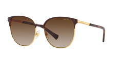SHINY GOLD | GRADIENT BROWN