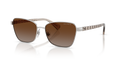 SHINY SILVER | GRADIENT BROWN | POLARIZED