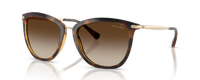 SHINY DARK HAVANA | GRADIENT BROWN | NON-POLARIZED