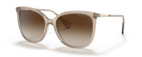 SHINY TRANSPARENT BROWN | GRADIENT BROWN | NON-POLARIZED