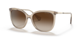 SHINY TRANSPARENT BROWN | GRADIENT BROWN | NON-POLARIZED