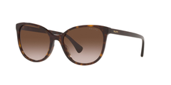HAVANA BROWN | GRADIENT BROWN