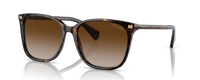 SHINY DARK HAVANA | GRADIENT BROWN | NON-POLARIZED