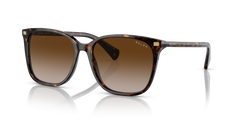 SHINY DARK HAVANA | GRADIENT BROWN | NON-POLARIZED