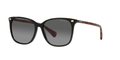 SHINY BLACK | TORTOISE TEMPLES | GRADIENT GREY | POLARIZED