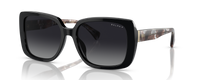 SHINY BLACK | GRADIENT GREY | POLARIZED