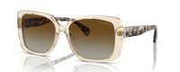 TRANSPARENT BROWN | GRADIENT BROWN | POLARIZED