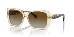 TRANSPARENT BROWN | GRADIENT BROWN | POLARIZED