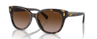 BLACK HAVANA | GRADIENT BROWN | NON-POLARIZED