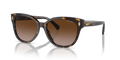 BLACK HAVANA | GRADIENT BROWN | NON-POLARIZED