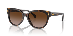 BLACK HAVANA | GRADIENT BROWN | NON-POLARIZED