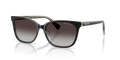 BLACK ON TRANSPARENT | GRADIENT GREY | NON-POLARIZED