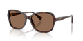 SHINY DARK HAVANA | BROWN | NON-POLARIZED