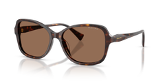SHINY DARK HAVANA | BROWN | NON-POLARIZED
