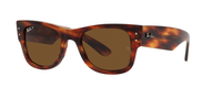 STRIPED HAVANA | BROWN - POLARIZED