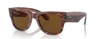 STRIPED HAVANA | BROWN | POLARIZED