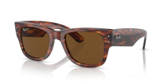 STRIPED HAVANA | BROWN | POLARIZED